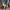 Damen bequeme Fleece-Hausschuhe mit warmem Innenfutter und rutschfester Sohle WW