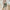 Damen bequeme Camouflage Jogginghose mit elastischem Bund und Bündchen WW