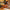 WW | Damentasche aus Leder