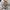 Damen Asymmetrisches Kleid mit Cut-Out-Details und floralem Design WW