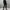 Damen Athleisure Set WW