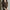 Damen Strickjacke mit V-Ausschnitt und praktischer Brusttasche WW