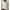 Damen Strickpullover mit strukturierter Verarbeitung und weichem Griff WW