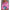 Damen Off-Shoulder Bluse mit buntem Muster und elastischem Saum WW