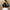 Damen Glitzernder Blazer mit Paillettenbesatz und elegantem Schnitt WW