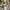 Damen Strickjacke mit Oversized-Schnitten WW