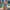 WW | 3D-Blumen-Bodycon-Laternenärmel-besticktes Kleid