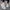 Damen atmungsaktive leichte Slipper WW