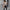 Damen Karierter Oversized-Wintermantel mit praktischen Taschen und Knopfdetail W&W