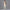 Damen Sportliches Bustier- und High-Waist-Leggings-Set mit nahtloser Konstruktion und atmungsaktiver Technologie WW
