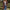 Damen Strickjacke mit elegantem Rippenmuster und praktischen Taschen WW