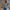 Damen Strickjacke mit floralen Applikationen WW