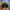 Damen entspannte Denim-Shorts mit modischen Abrieb-Details WW