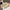 Damen Slingback-Pumps mit elegantem spitzem Zehenbereich und komfortablem Blockabsatz W&W
