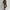 Damen Athleisure Set WW