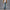 Herren entspannte Jeans im modernen Destroyed-Look WW