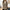 Damen Strickweste mit modernem V-Ausschnitt und feiner Textur WW