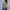 Damen Strickjacke mit geometrischem Muster und Knopfdetails WW