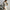 Damen Sportliches Hoodie-Set mit bequemer Passform und elastischen Hosen WW