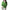 Damen Strickjacke mit goldenem Knopfverschluss und weitem Schnitt WW