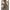 Damen Maxikleid mit modernem Leopardenmuster und seitlichen Schlitzen WW