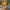 Damen lässiger Kimono mit tiefem V-Ausschnitt und weit geschnittenen Ärmeln WW
