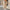 Damen Strickjacke mit strukturierter Zopfstrickoptik und dekorativen Knopfdetails WW