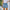 Damen Denim-Shorts mit elastischem Taillenbund und lässigem Schnitt WW