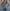 Damen Strickjacke mit floralen Applikationen und perlverzierter Detail WW