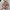Damen Asymmetrisches Kleid mit Cut-Out-Details und floralem Design WW