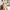 WW | Taillienverstellbares Ein-Schritt Rock Kurzarm Polyester Kleid