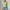 Damen Langarmshirt mit Knopfleiste und Rippstruktur WW