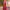 WW | Jumpsuit Hohe Taille Ärmellos Tiefer V-ausschnitt Weite Beinform Elegante Passform