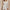 WW | V-Ausschnitt Bindeband Pailletten Taillenbetonender Schlankheits Abendkleid Kleid