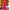 Damen Lange Plisseekleid mit asymmetrischem Schnitt WW