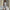 Damen Strickkleid mit eleganter Knopfleiste und V-Ausschnitt WW