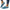 Damen Bequeme Slip-On Clogs mit kuscheligem Innenfutter und flexibler Sohle WW