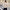 Damen Strickpullover mit strukturiertem Muster und hohem Kragen WW