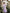 WW | V-Ausschnitt Träger Abendkleid Mesh Bestickter Rücken Freie Elegante Abendkleid Tanzkleid Festkleid Brautjungfernkleid