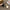 Damen Ballerinas mit elegantem Riemchen und flexiblem Innenfutter W&W
