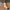 Damen Slingback-Pumps mit komfortablem Blockabsatz und feinem Lederdesign W&W
