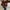 Damen Strickjacke mit floralen Applikationen und Knopfdetails WW