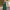 WW | Jumpsuit Hohe Taille Ärmellos Tiefer V-ausschnitt Weite Beinform Elegante Passform