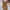Damen Komfortable Freizeitshorts WW