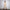 Damen Bequemer und stylischer Oversize Sweat-Anzug mit elastischem Bund WW