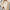 Damen Oversized Sweatshirt mit gestepptem Design und Komfort Fit WW