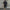 Damen bequemer Fleece-Trainingsanzug mit hohem Kragen WW