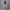 Damen weite High-Waist Jeans mit Destroyed-Details WW