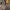 Damen Elegantes und florales Chiffonoberteil mit langen Ärmeln W&W