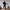 Damen bequeme Sweatshirt- und Jogginghose-Kombination WW